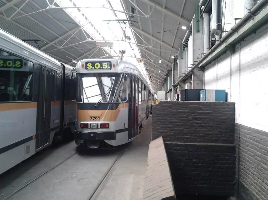 Brussels articulated tram 7791 inside Avenue du Roi (2017)