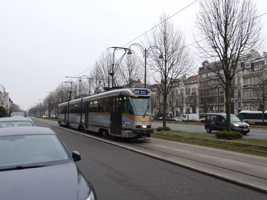 Brussels tram line 81 with articulated tram 7937 near Merode (2019)