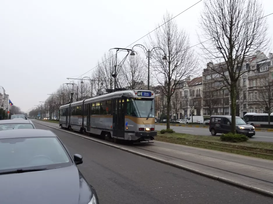 Brussels tram line 81 with articulated tram 7937 on Avenue de Tervueren (2019)