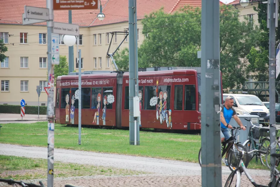 Dessau tram line 3 with low-floor articulated tram 307 near Bauhaus Museum (2015)