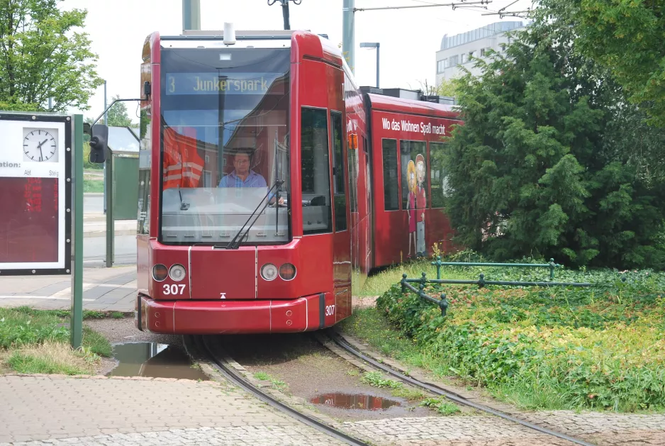 Dessau tram line 3 with low-floor articulated tram 307 outside Bauhaus Museum (2015)