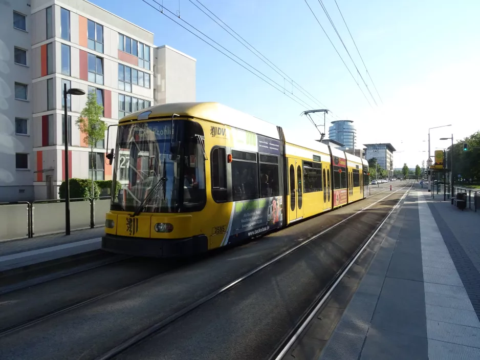 Dresden tram line 1 with low-floor articulated tram 2585 at Schwimmhalle Freiberger Platz (2019)