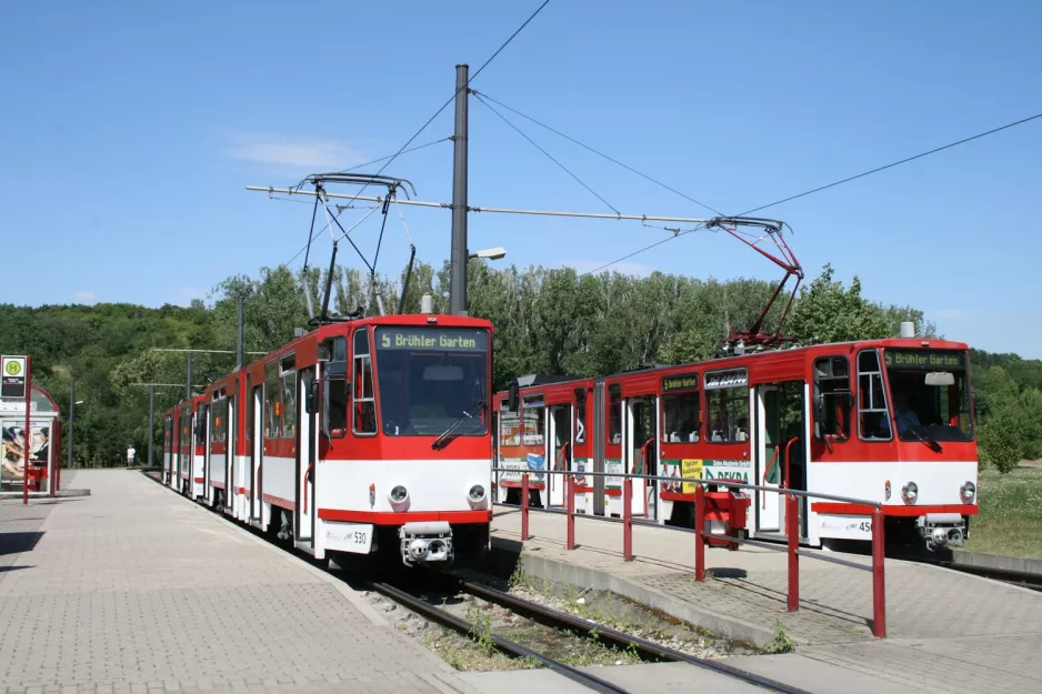 Erfurt tram line 5 with articulated tram 530 at Zoopark (2008)