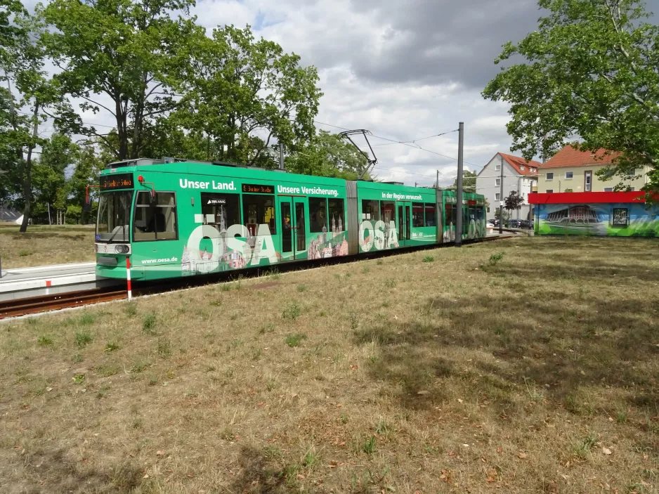 Halle (Saale) regional line 5 with low-floor articulated tram 627 at Bad Dürrenberg, Markt (2023)