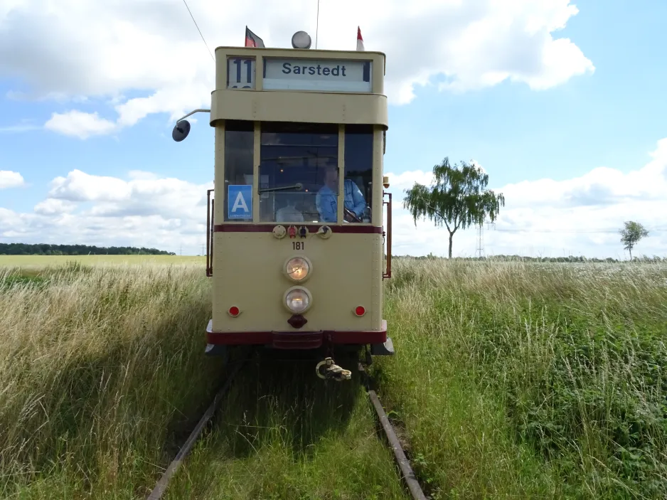 Hannover Aaßenstrecke with railcar 181 at Field at Stichkanal (2024)