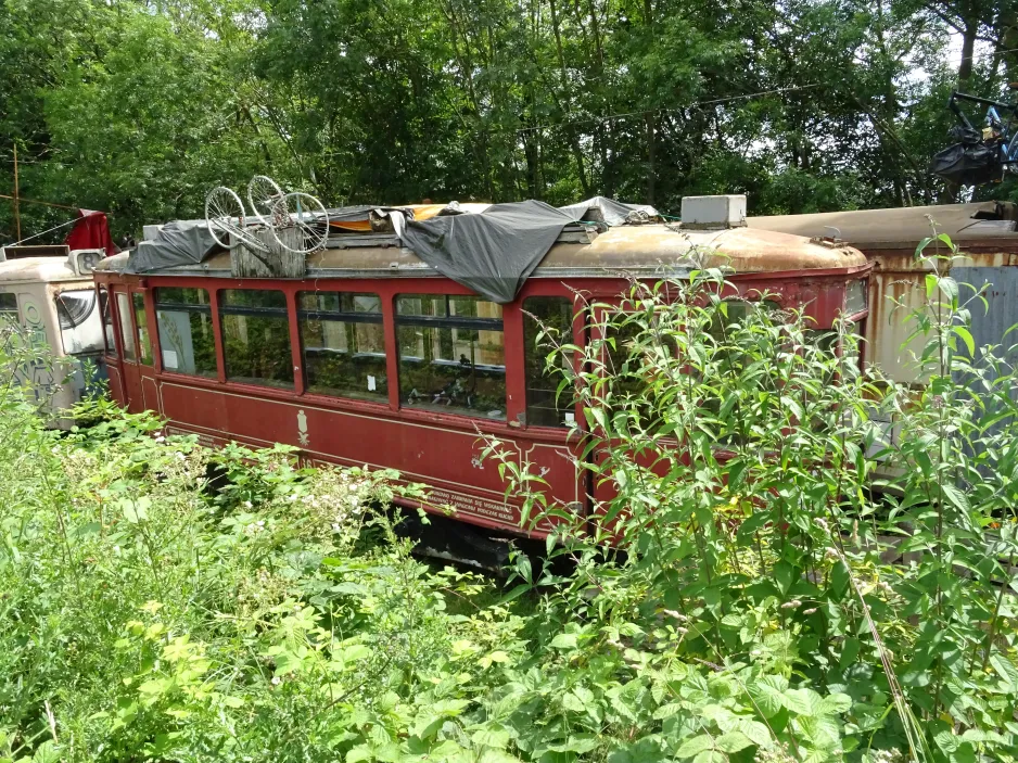 Hannover railcar 223 in Snntg (2024)