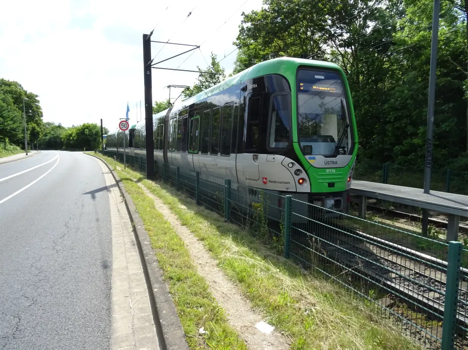 Hannover tram line 5 with articulated tram 3111 near Anderten (2024)