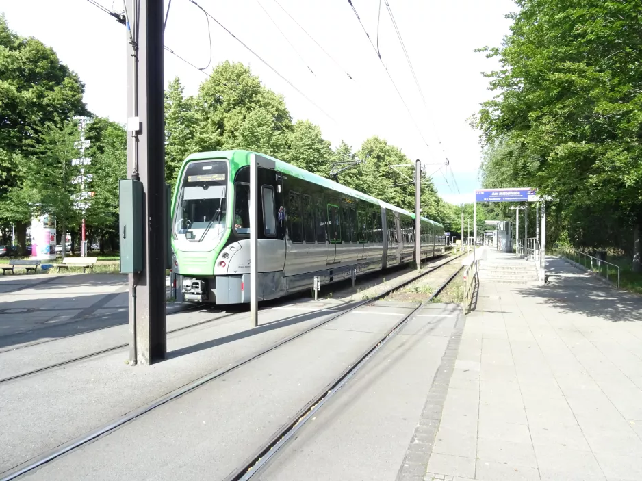 Hannover tram line 8 with articulated tram 3104 at Am Mittelfeld (2020)