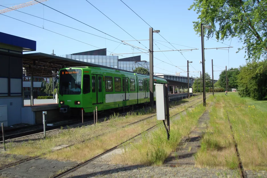 Hannover tram line 8 with articulated tram 6253 at Messe/Nord (2014)