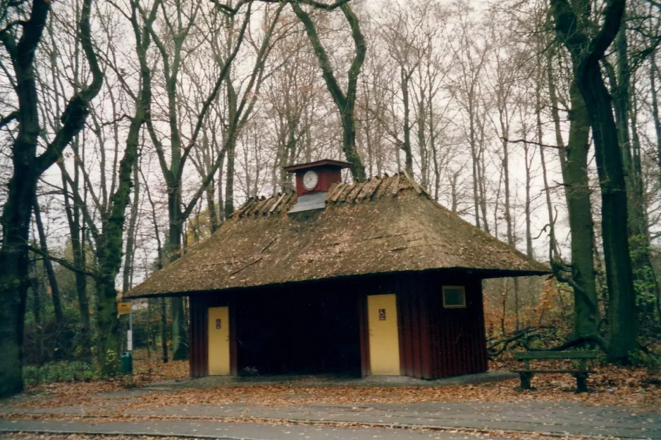 Odense at Hunderup Skov (2002)