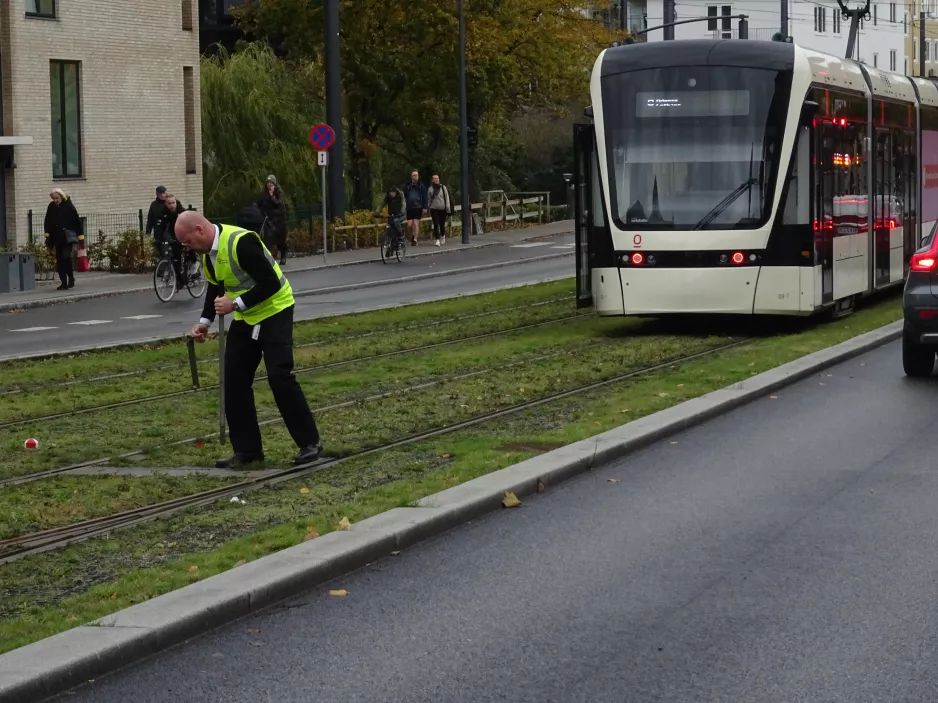 Odense low-floor articulated tram 08 "Eventyret" on Albanigade (2023)