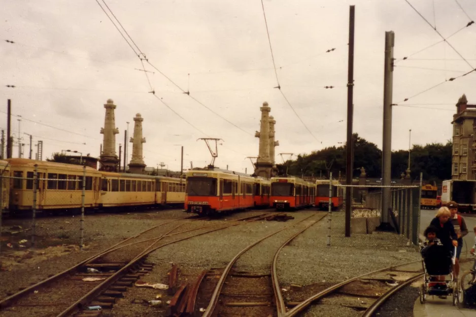 Ostend at Oostende (1982)