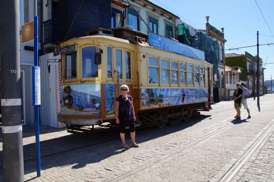 Porto tram line 1 with railcar 216 at Passeio Alegre (2016)