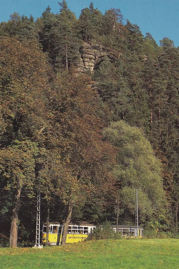 Postcard: Bad Schandau Kirnitzschtal 241 with railcar 4 near Forsthaus (1998)