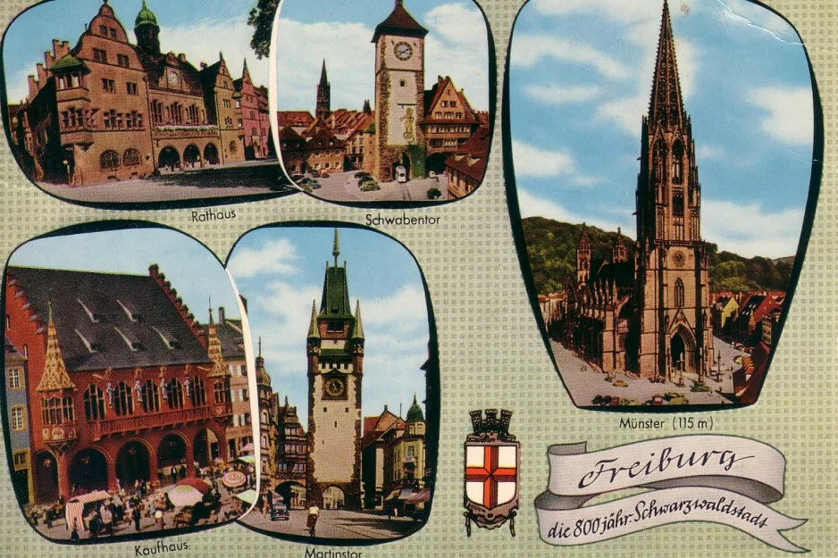 Postcard: Freiburg im Breisgau in Freiburg im Breisgau (1950)