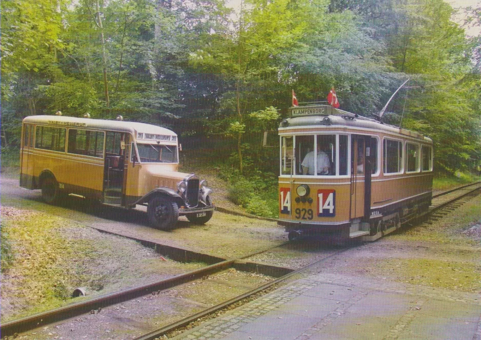 Postcard: Skjoldenæsholm standard gauge with railcar 929 near Skovkanten (2009)