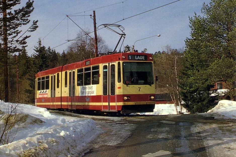 Postcard: Trondheim tram line 9, Gråkallbanen with articulated tram 7 near Herlofsonløypa (1988)