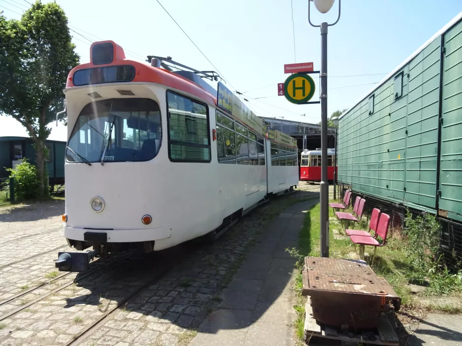 Schönberger Strand articulated tram 7553 at Museumsbahnhof (2023)