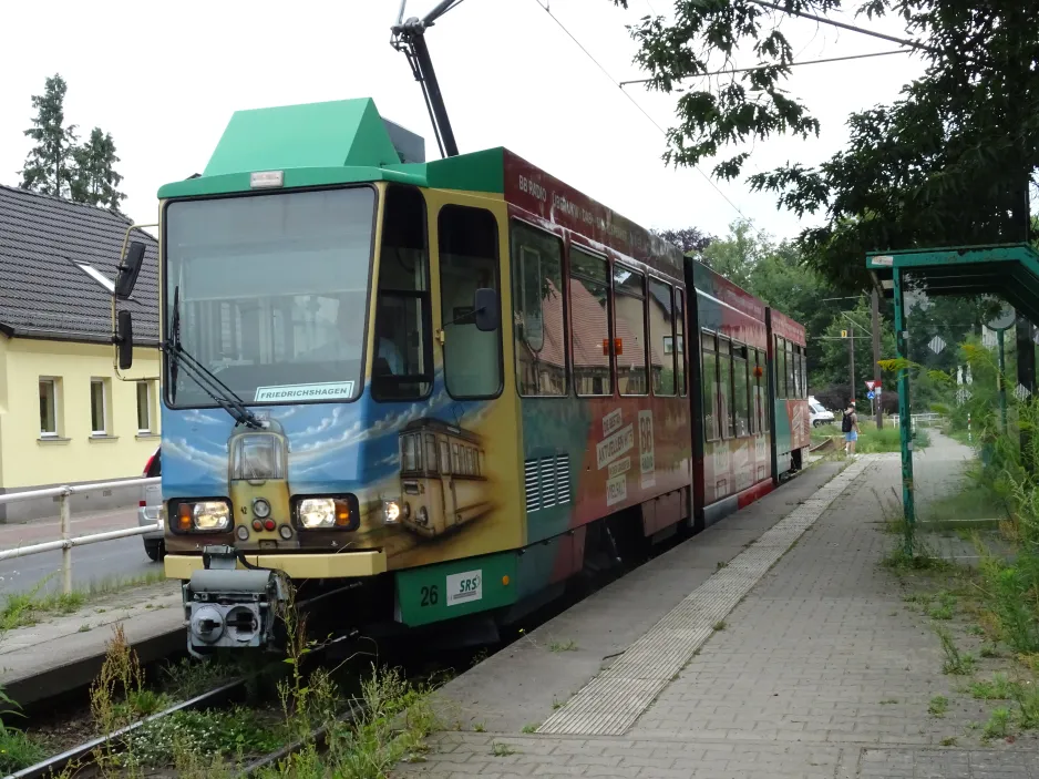 Schöneiche tram line 88 with articulated tram 26 at Dorfstr. (2024)