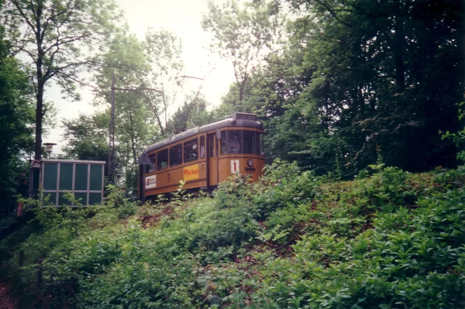 Skjoldenæsholm 1000 mm with railcar 3 at The entrance (2000)