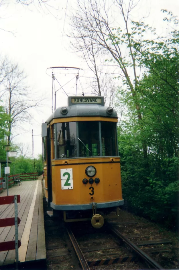 Skjoldenæsholm 1000 mm with railcar 3 at The entrance (2002)