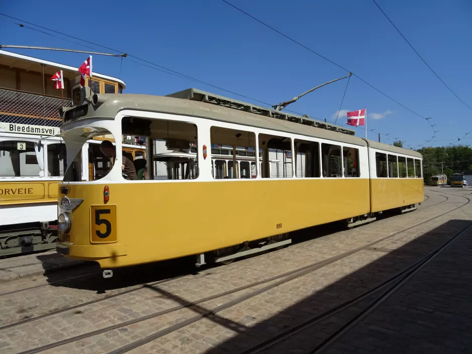 Skjoldenæsholm 1435 mm with articulated tram 890 during restoration The tram museum (2018)