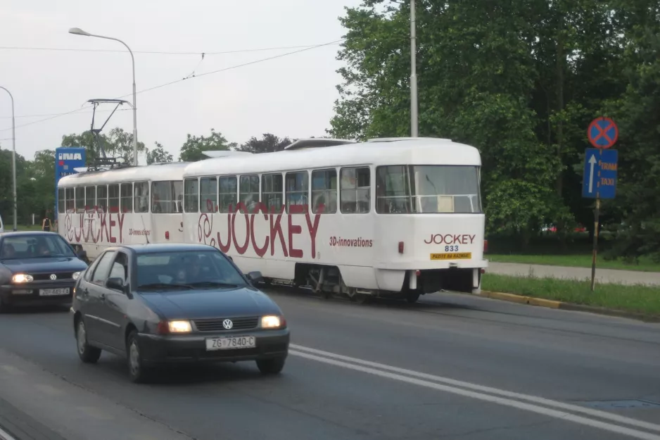 Zagreb sidecar 833 at Park Maksimir (2008)