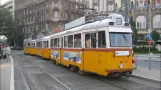 BKV Budapest Tram/Tram Type UV