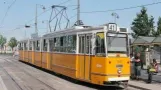 Budapest tram: The eight-axle articulated trams from Ganz