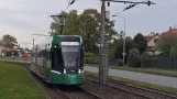 DPO:Výroční tramvaj.