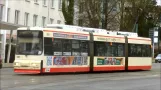 Frankfurt (Oder) tram 2014