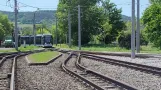 Jena Tram - Einrücker Football Transport Carl Zeiss Jena - 03.06.2023