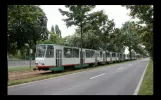 Neues von der Magdeburger Straßenbahn