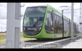 Skånetrafiken - Tram driver Gillis