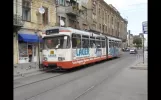 Straßenbahn Timişoara (Rumänien) im Juni 2012
