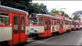 Tram Halle - Impressions June 25, 2010