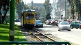 Trams in Arad - Trams in Arad (25 August 2011)