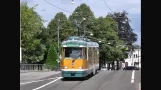 Trams in Norrköping