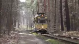 Woltersdorf Tram - A short but important route