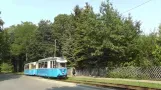 Woltersdorfer Straßenbahn - Kurzimpressionen mit historischen Fahrzeugen - 08.08.2015