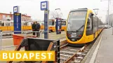 World's Longest Trams / Najdłuższe tramwaje świata w Budapeszcie