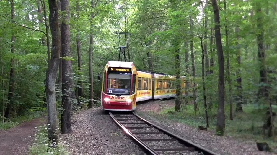 Nuremberg Tiergarten (tram)