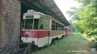 Restoration of trailer car 113 - Part 1 - Schöneiche tram - Tram 88 e.V.